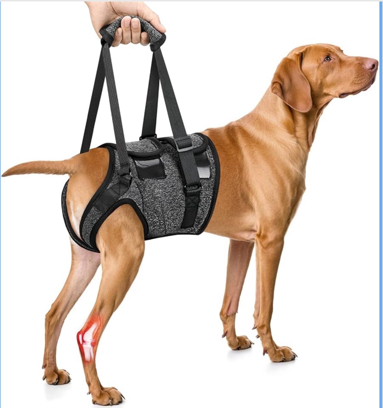 Dog Sling Harness For Hind Leg Support Adjustable Straps Detachable Handle Reflective Stitching Comfortable Fit Medium Size Black & Gray