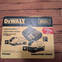 DeWalt 20V Battery 2 Pack w/ Charger