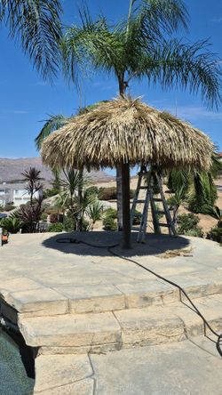 Palapa