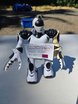 Robot