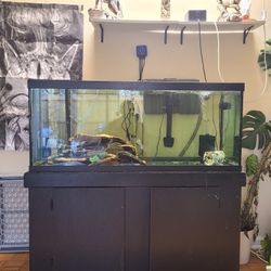 75 Gallon Aquarium w/ Stand 