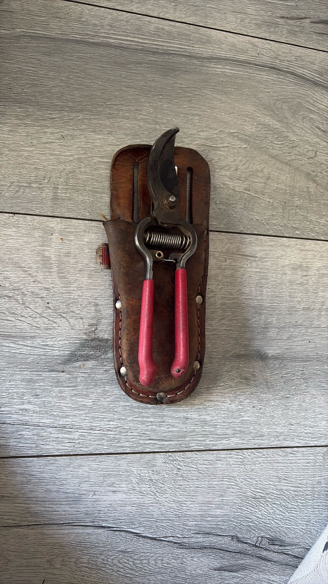 Classic Pruning Shears for Gardening | Cuts Branches and Stems