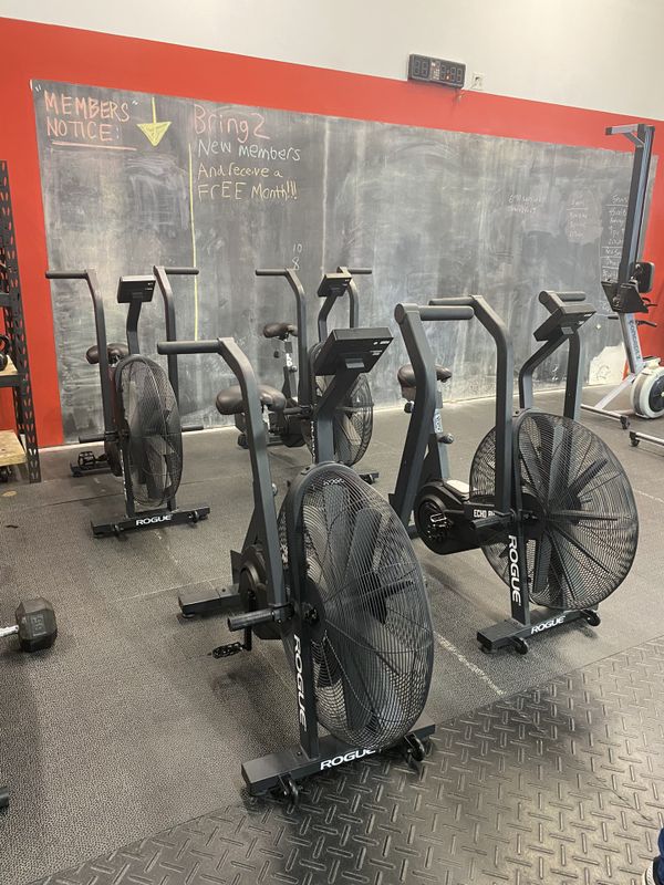 rogue assault bike for sale