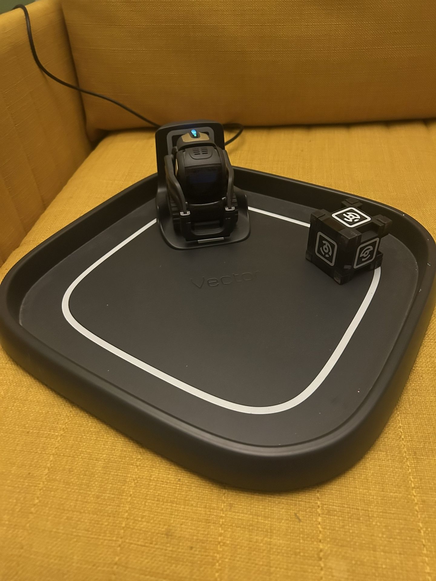 Vector Robot By Anki