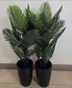 *** NEW LOW PRICE *** PAIR of 52" Faux Areca Palms in 16" Black Planters (2 for $100) @ Lasting Creations