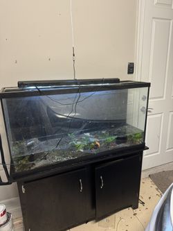 60 Gallons Fish Tank