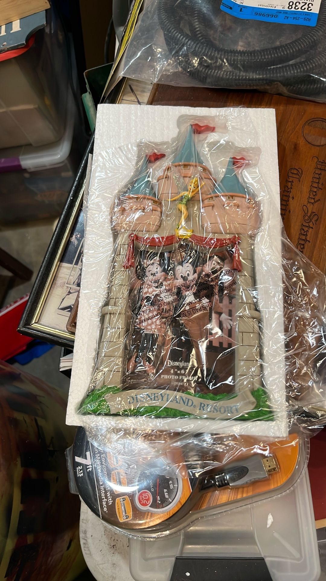 Disneyland Photo Frame