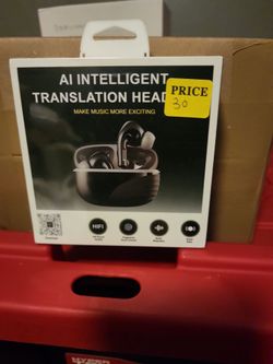 In ear translating earbuds