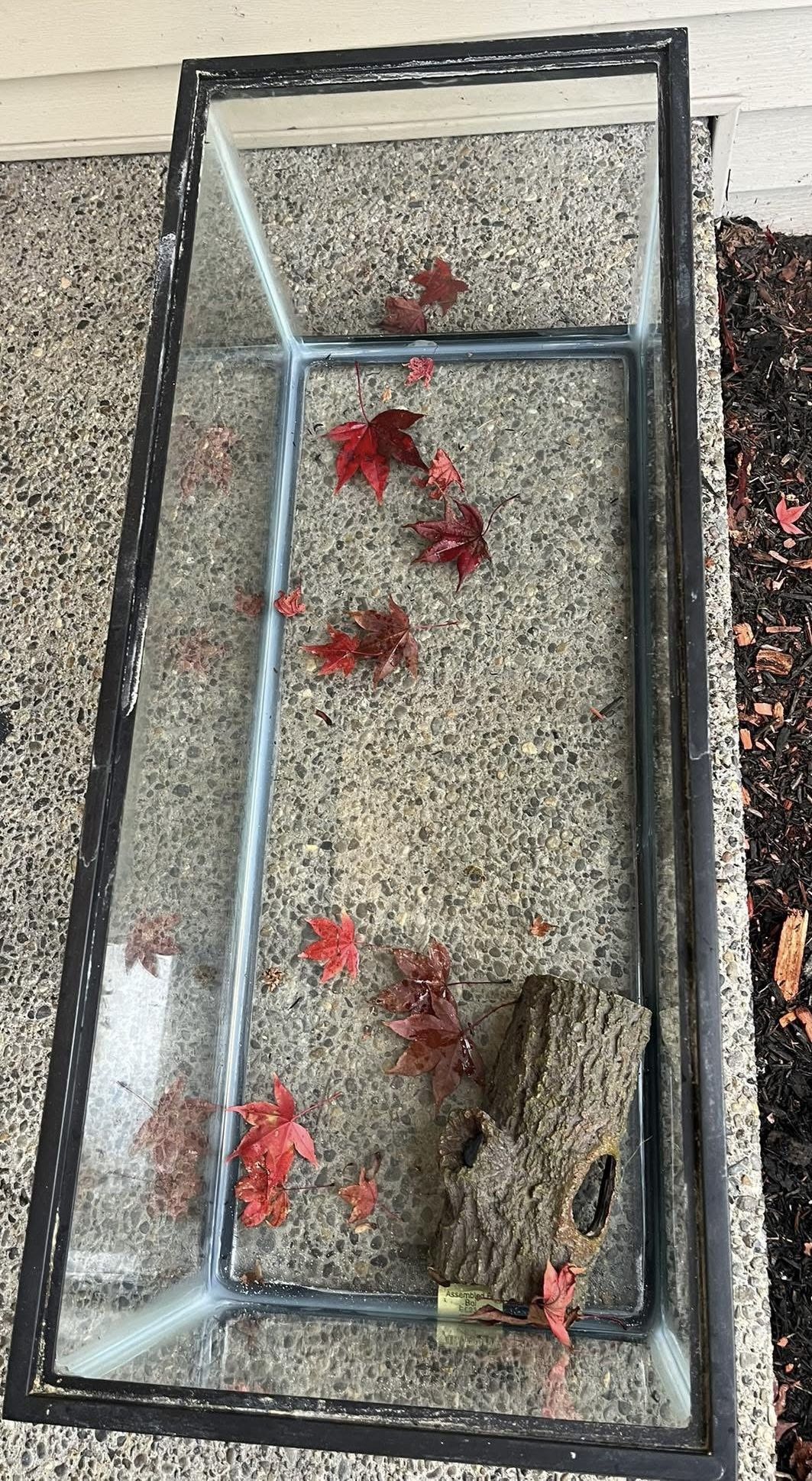 20 Gallon Fish/Axolotl/creature Tank   