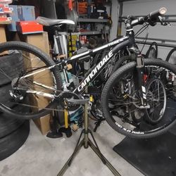 Cannondale Trail SL 29r