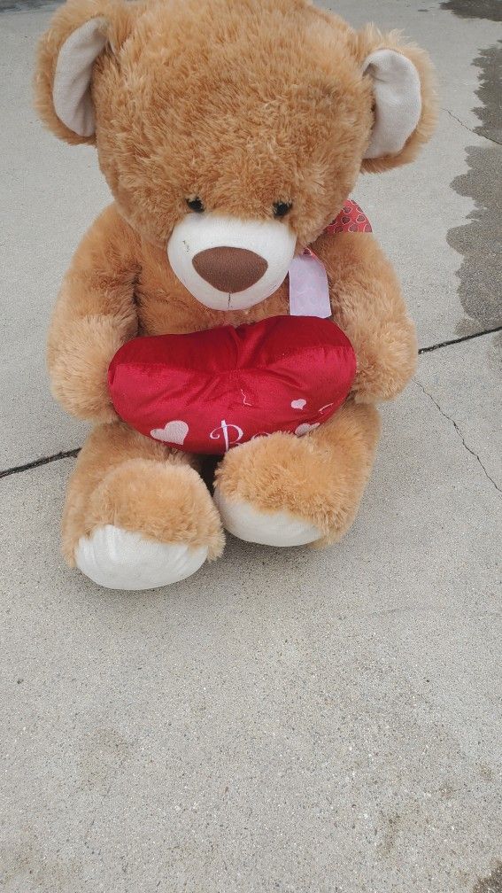 Teddy Bear