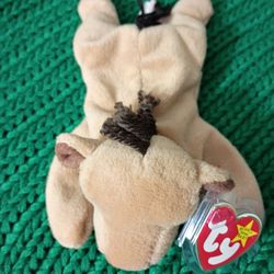 RARE Derby Beanie Baby - CANADIAN Customs Tag 20B6484 - PVC Pellets - Star Tag