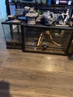 terrarium enclosures