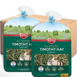 Timothy Hay