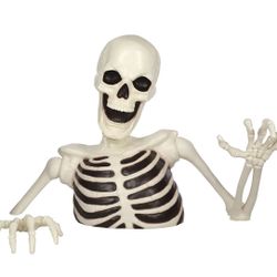 Halloween Groundbreaker Skeleton