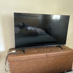Vizio Flat Screen 40in 