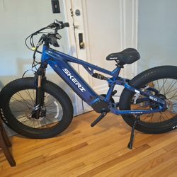 Ebike, Brand New Skeri 750W, 26" × 4" Fat Tires – Never Ridden –


