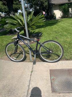 Schwinn railway bike