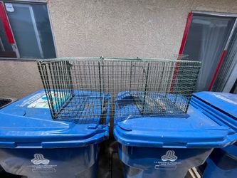 Raccon or cat metal trap