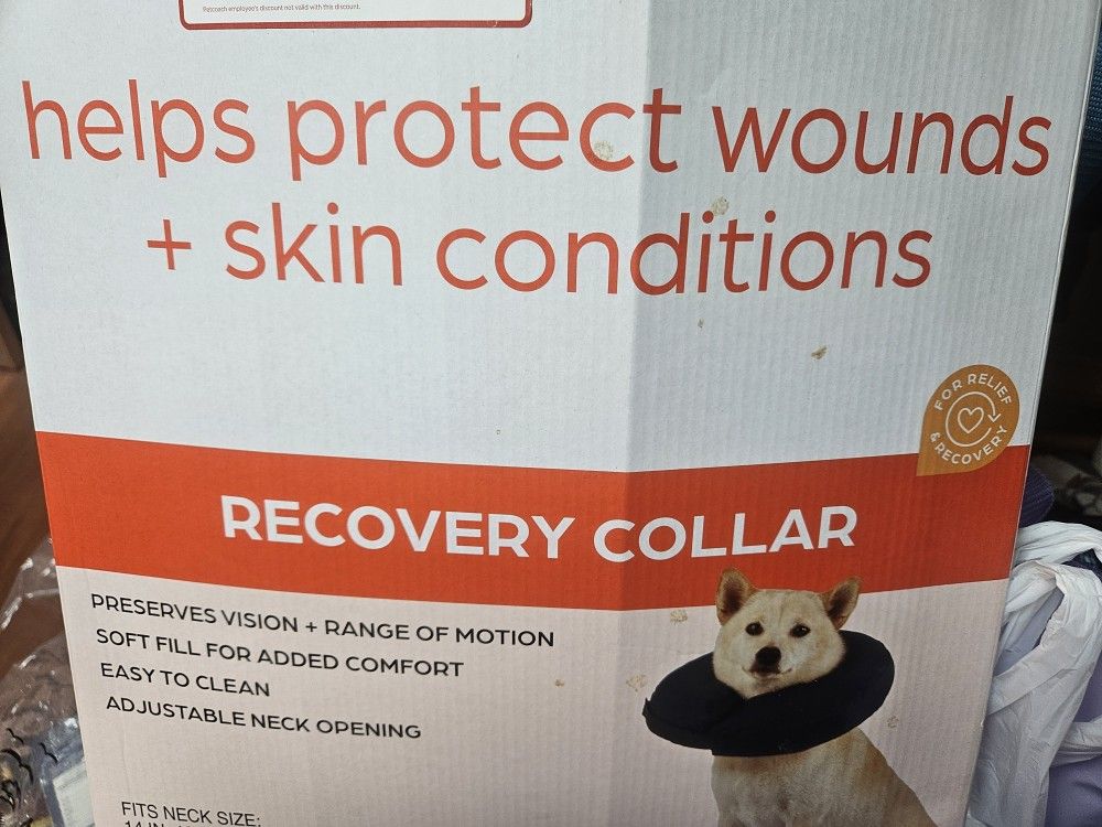 Recovery Cone Collar New Large
