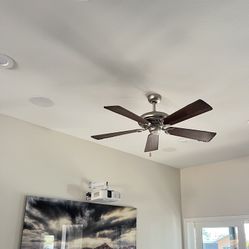 Living Room Ceiling Fan 