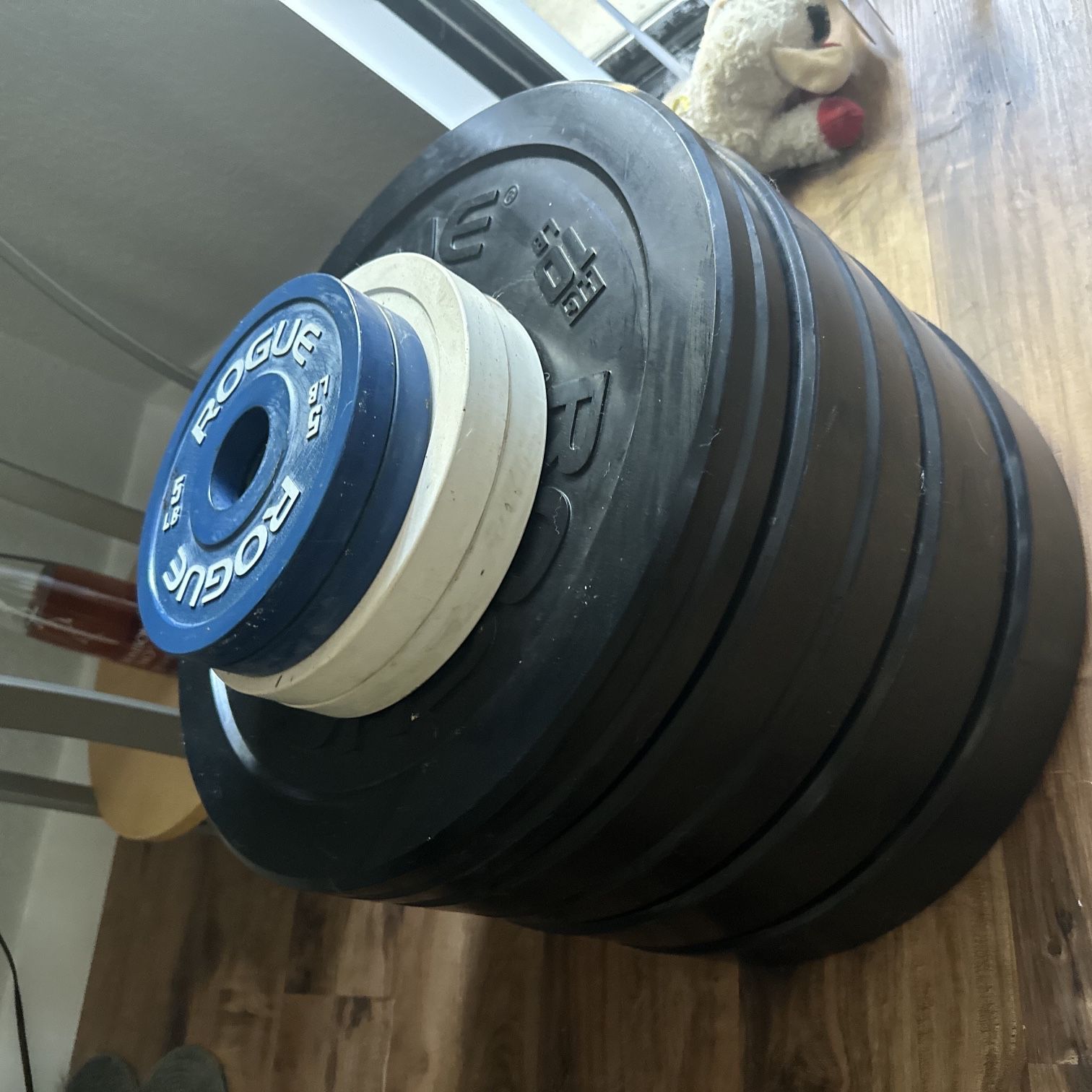 Weightlifting Plates 