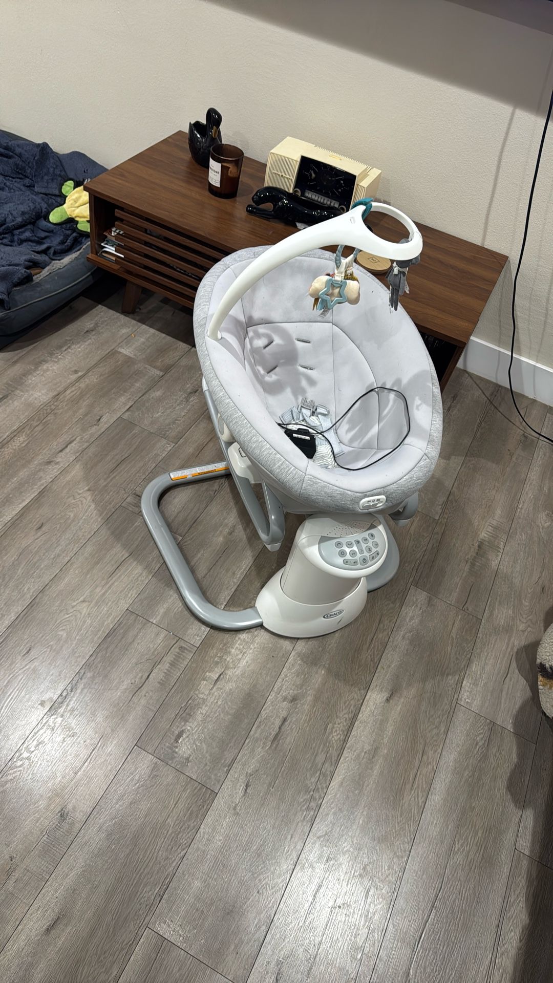 Graco Swing