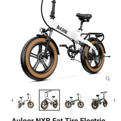 Auloor NXB Fat Tire Electric Bike