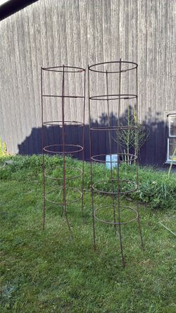 Vegetable or fruit cages