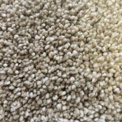 Marine Or Looselay Carpet