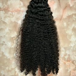 Burmese Curly 