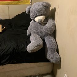 Big Teddy Bear For Sale Pickup Only Cash Only 