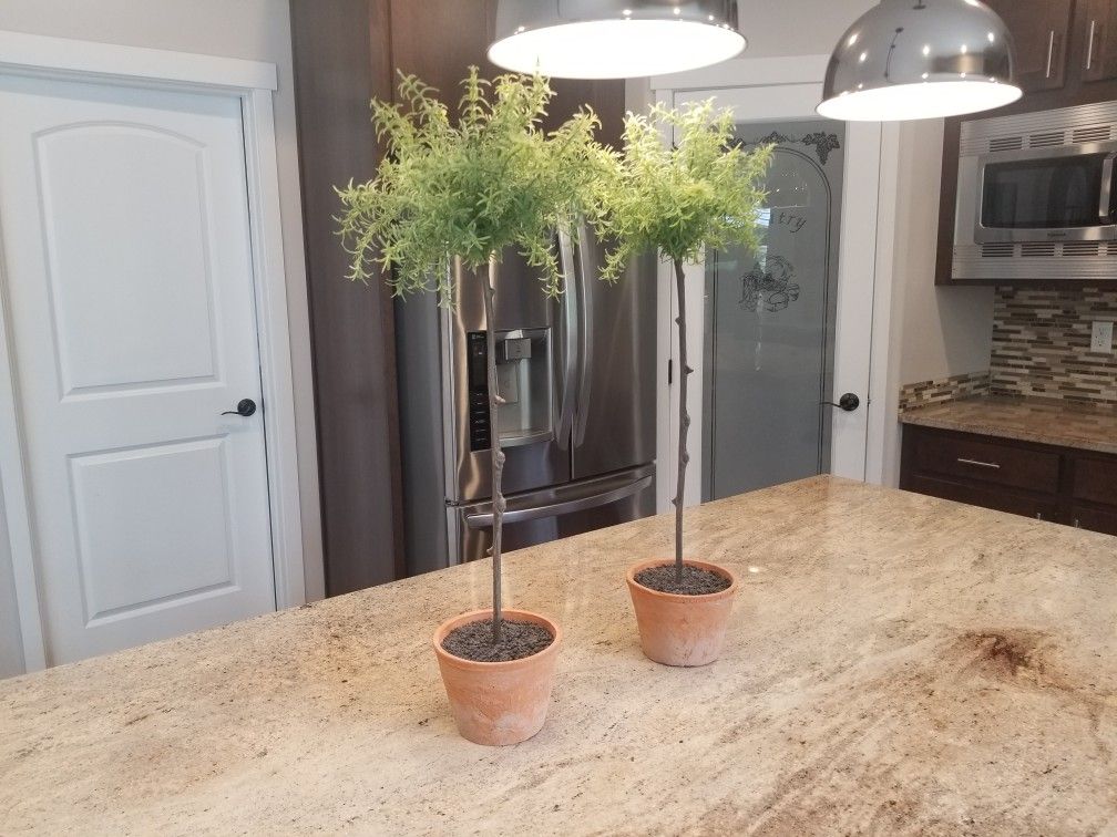 Two Pottery Barn Topiaries