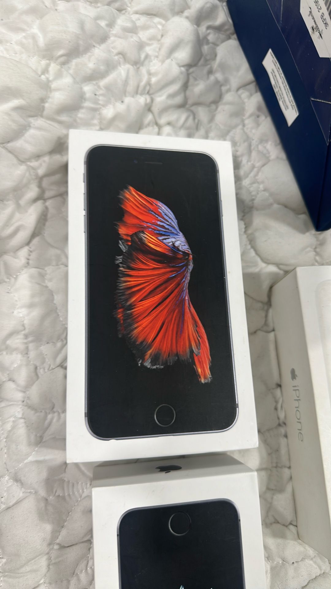 iPhones 