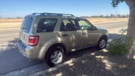 2010 Ford Escape