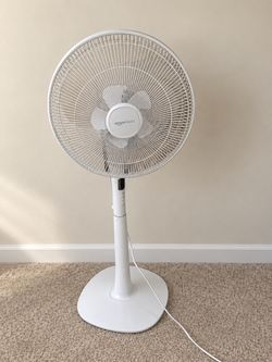 Amazon Basics Standing Fan