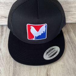 SnapBack Hat$20