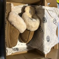 Size 4 Uggs Cozy II Cnut