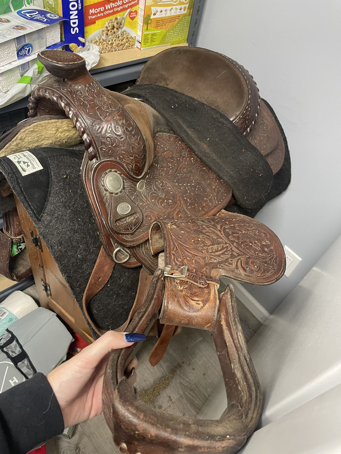 Saddles And Stand