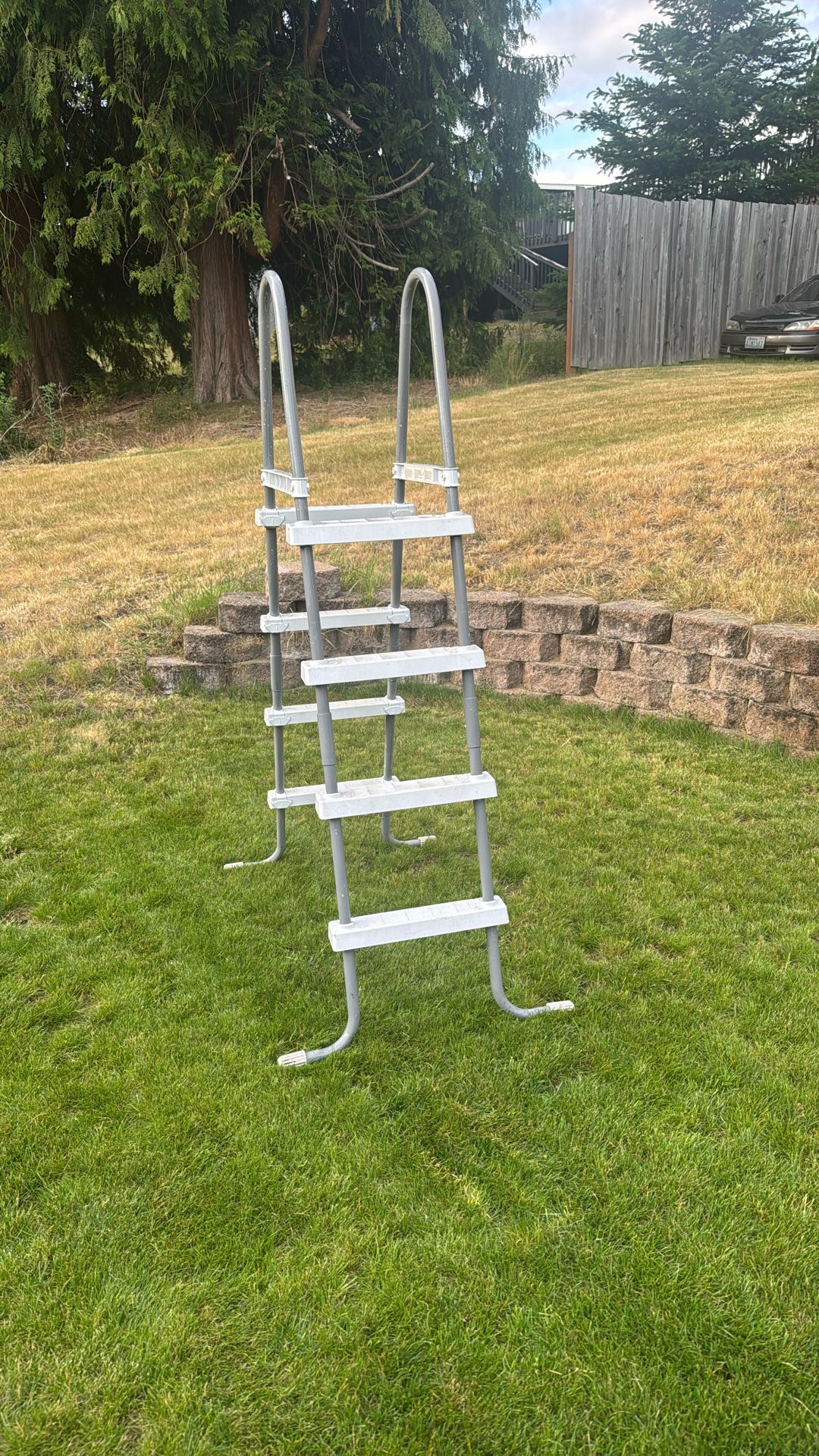 Pool ladder