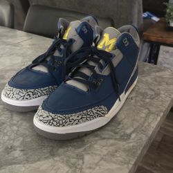 Jordan Michigan 3s Size 13