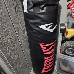 Everlast 100lbs Punching Bag