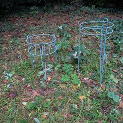 Garden Flower Display 