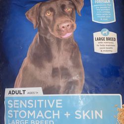 Authority Veterinarian 