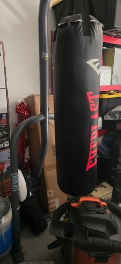 Everlast punching bag