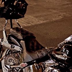 Harley Seat And Sissy OEM
