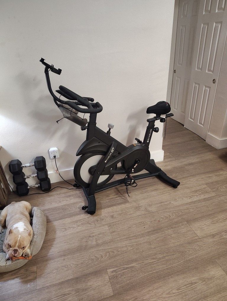 Exercise Bike