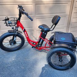 Emojo Electric Tricycle