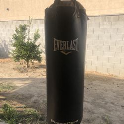 60lb Everlast Punching Bag 
