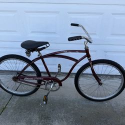 Schwinn 24 